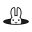 Research Rabbit favicon